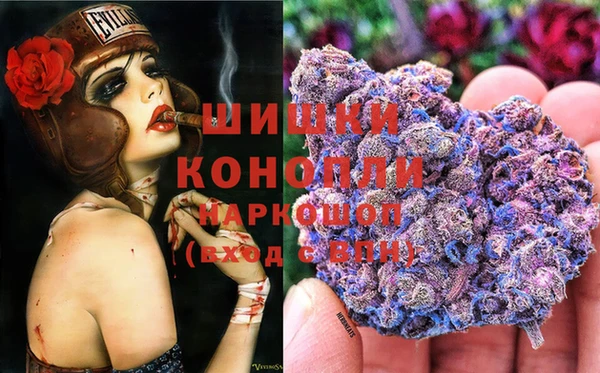 эйфоретик Кукмор