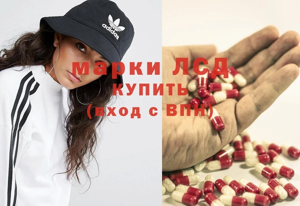 эйфоретик Кукмор
