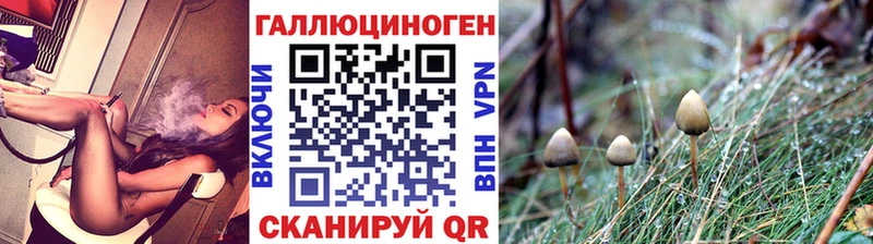 Псилоцибиновые грибы мицелий  KRAKEN ONION  Сергач  магазин   