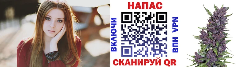 Канабис план  закладки  Сергач 
